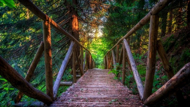 Витоша - какво си заслужава да се види