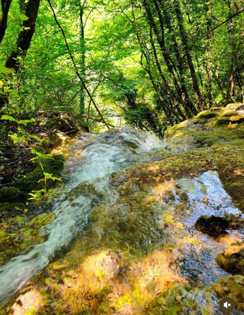 Бачковски водопад