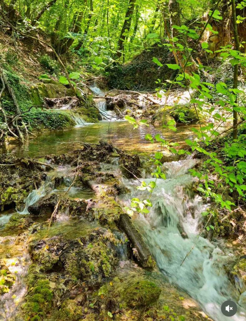 Бачковски водопад